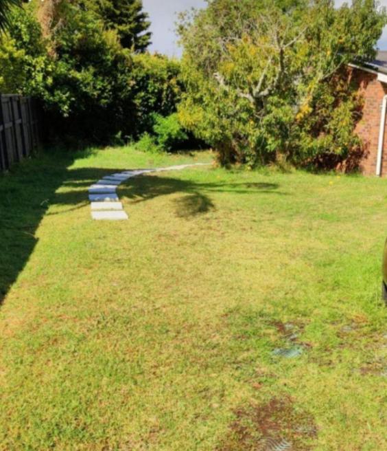 Separate Entry Guest Room With Private Bathroom In Forrest Hill Auckland Exterior foto